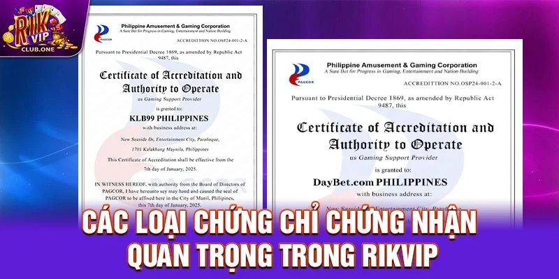 Các loại chứng chỉ chứng nhận quan trọng trong Rikvip